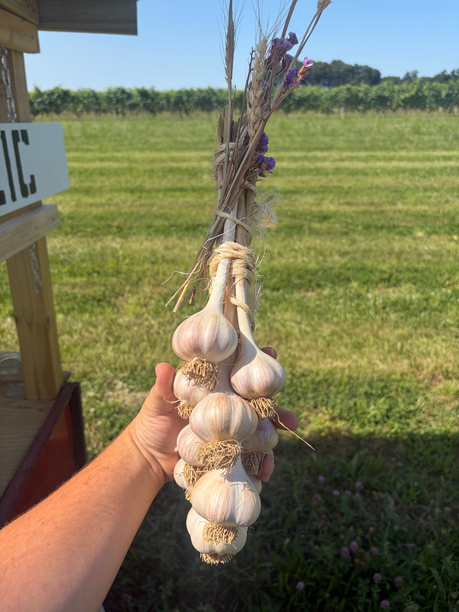 Decorative garlic rope with dried flowers